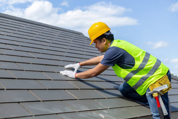 Best Roof Maintenance and Cleaning  in Manistee, MI