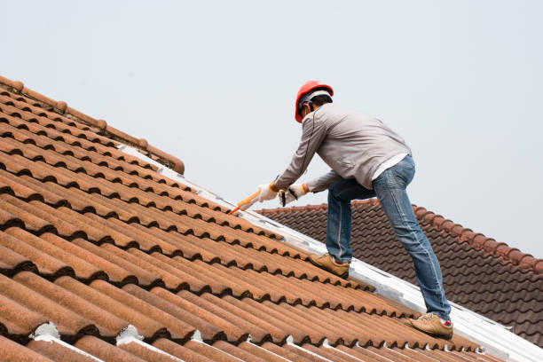 Best Storm Damage Roof Repair  in Manistee, MI