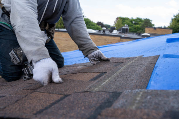 Best Tile Roofing Installation  in Manistee, MI