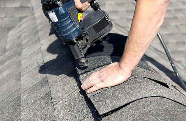 Best Skylight Installation and Repair  in Manistee, MI